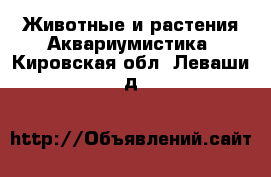 Животные и растения Аквариумистика. Кировская обл.,Леваши д.